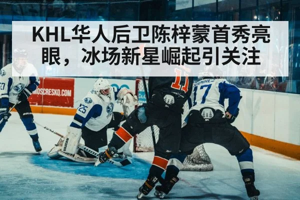 ice hockey defense